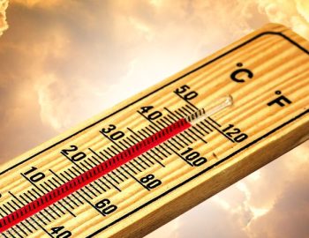 Changement climatique : des élus irresponsables font la promotion du transport aérien